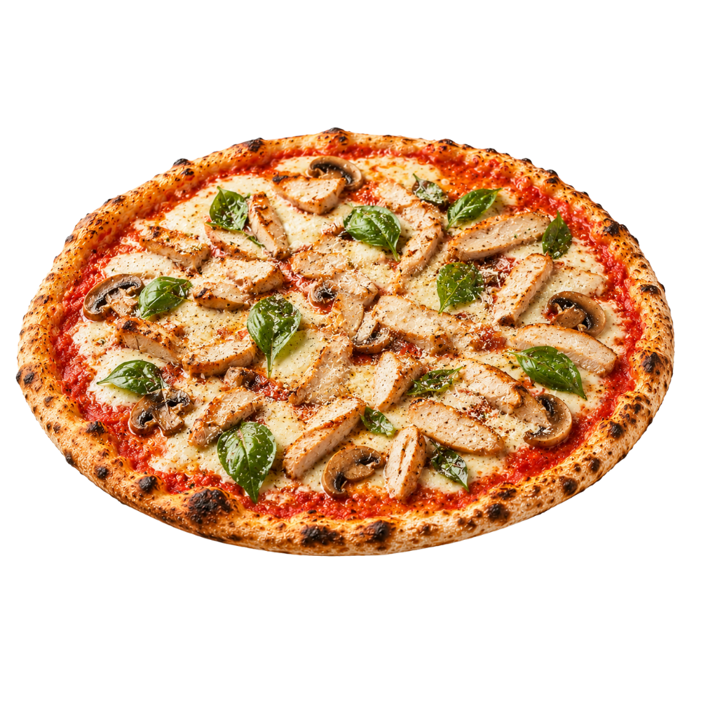 Chicken & Mushroom